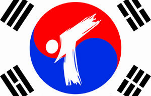 Taekwondo Sarreguemines