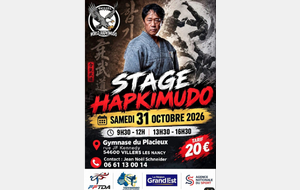 Stage Hapkimudo GM Lee Kang Jong