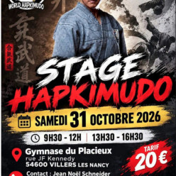 Stage Hapkimudo GM Lee Kang Jong